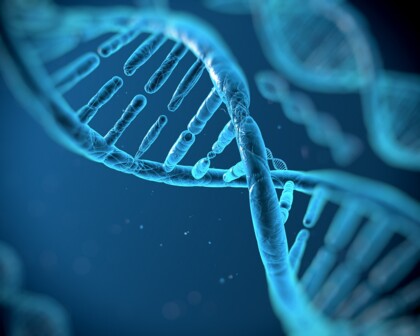 DNA-Strang