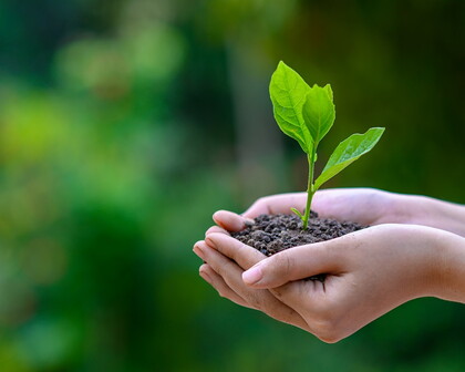 Frau hält Pflanze und Erde in der Hand