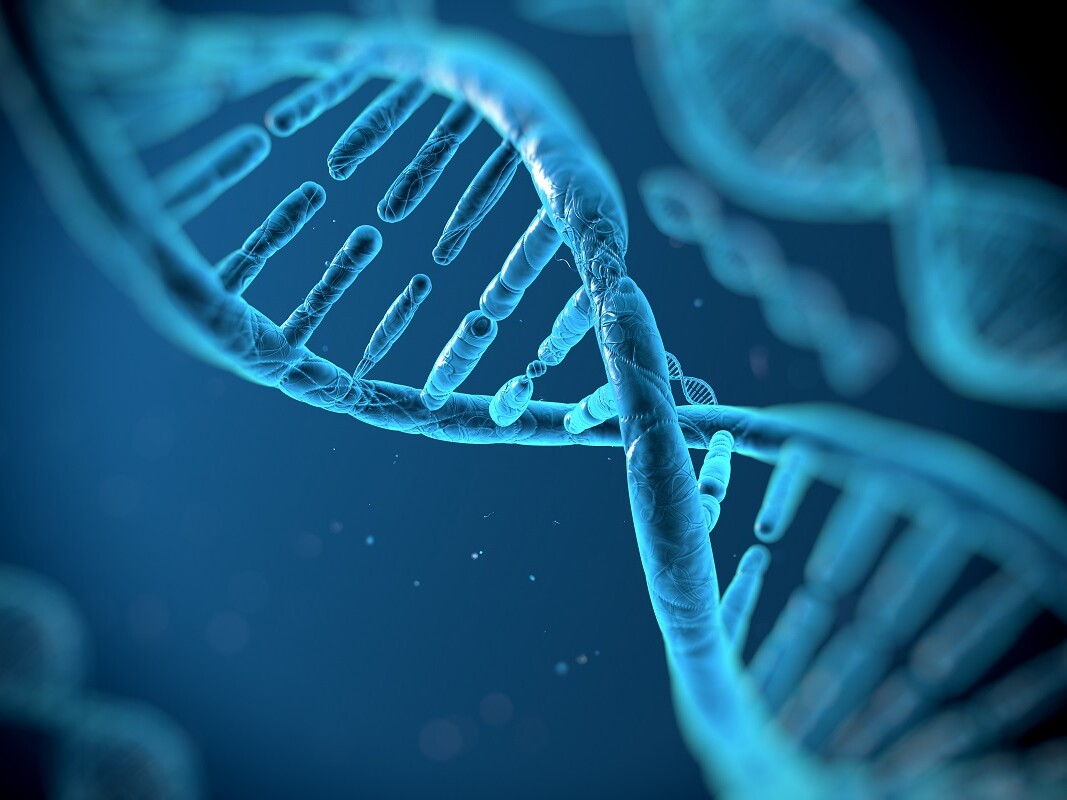 DNA-Strang