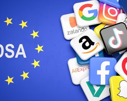 DSA Meldeverfahren Urteil Kammergericht Berlin