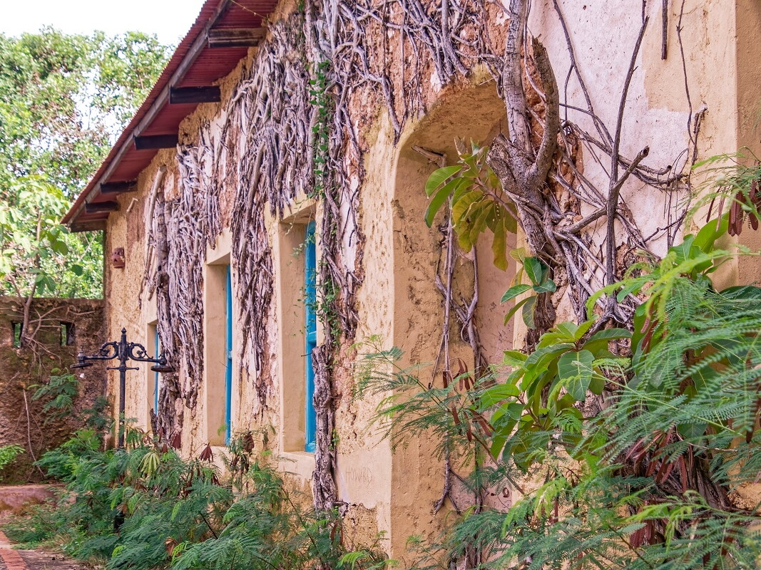 Verlassenes Haus ist mit Pflanzen überwachsen