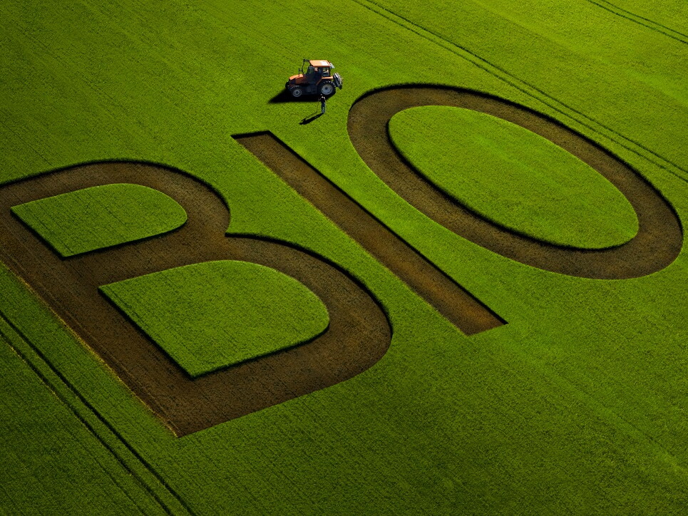 Kein Bio-Logo für Fleisch aus ritueller Schlachtung